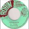 ReGGae Music 249 – Lloyd Young – Jah Jah Know [Robin]