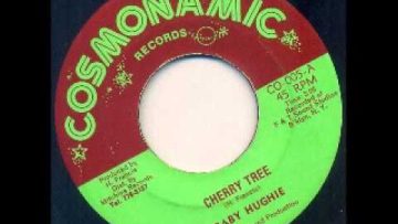 Baby Hughie – Cherry Tree [1977]