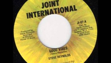 Steve Reynolds – Good Vibes