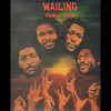 Wailing Souls ‎- Wailing