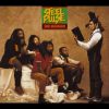 Steel Pulse- Your House