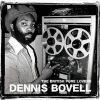 Dennis Bovell Chief Inspector