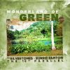 Wonderland of Green Riddim Mix (2020) The Silvertones,Burro Banton,The 18th Parallel