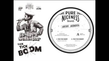 Asher Senator meets Bony Fly – Tick Tick Boom – Pure Niceness Records (Ruff Series) 12