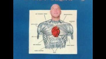 Adrian Sherwood – You Wonder Why