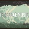 Roots Reggae Music Dub – Rebelution