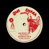 JAH SHAKA MUSIC – SHAKA992 – Roger Robin – Journey On Dub (12inch)