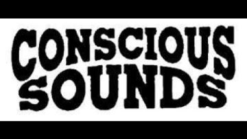 Jah Waggys Dubplate Selection Vol-10-Its Not A Crime / Danny Red