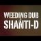 Weeding Dub – Cant Understand feat. Shanti D