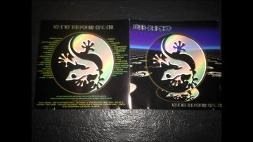 Dub Ghecko and Virginia – Love To The Power Of Each