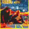 Izrael Meets Mad Professor And Joe Ariwa – Bissnesn Dub