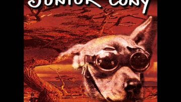 Junior Cony – Family Man