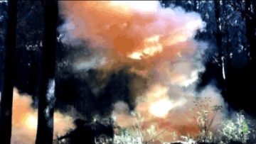 Jah Warrior – Judgement Day