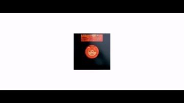 Sista Bethsabée / Maïcee / Mahom / – Justice / The Big Bad Zoo – 10 – Culture Dub Records