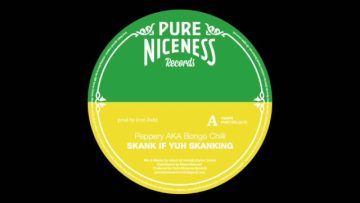 Peppery and Iron Dubz – Skank If Yu Skanking – Pure Niceness Records 7