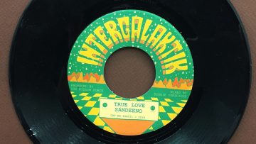 Sandeeno – True Love