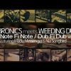 Vibronics meets Weeding Dub Hard Living / Never Lie Down feat. Nia Songbird and Madu Messenger