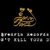 Dont Kill Your Dub [Bredrin Records Remix]