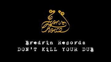 Dont Kill Your Dub [Bredrin Records Remix]