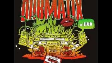 Dubmatix – In Dub – Magnetic Dub
