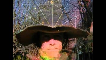 Dymons – Roots