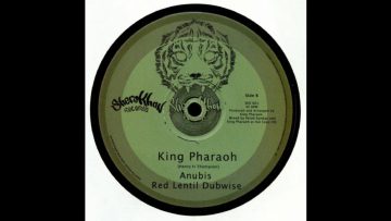 King Pharoah – Anubis