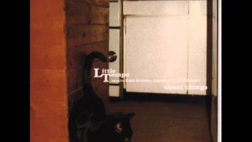 Little Tempo － Beautiful Rain （ feat. Eddi Reader ）