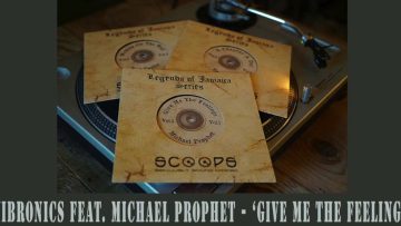 Vibronics feat. Michael Prophet – Give Me The Feelings