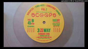 Vibronics – Furious Dub and Conscious Sounds Mix