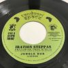 7 inch / Iration Steppas Featuring Tena Stelin / Jungle Jungle / 2001