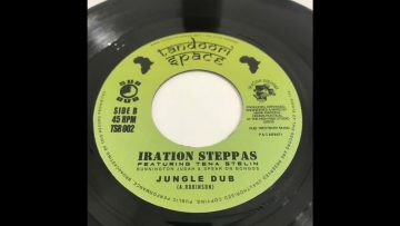 7 inch / Iration Steppas Featuring Tena Stelin / Jungle Jungle / 2001