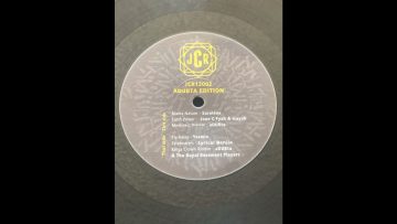 Jone C Fyah and Isayah – Earth Power 12” Jah Chalice Records Germany 2020