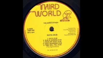 The Aggrovators – Sun Is Shining Dub