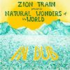 Zion Train – Amazon