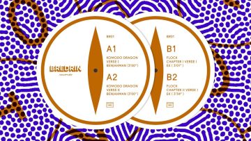 Bredrin Records – Komodo Dragon Flock – BR01 – Teaser