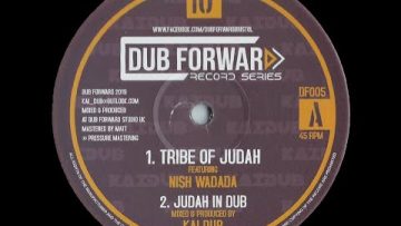 DUB FORWARD RECORDS – DF005 – I David – Root Of David Kai Dub – Root Of Dub (10)