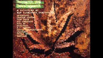 Dub Syndicate – Research and Development – D.J. Scruff Mafia.wmv