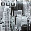 Hi Tech Roots Dynamics – Empire State Dub