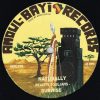 AMOUL BAYI RECORDS – AB1202 – Reality Souljahs – Naturally Dubwise (12inch)