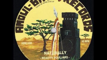 AMOUL BAYI RECORDS – AB1202 – Reality Souljahs – Naturally Dubwise (12inch)