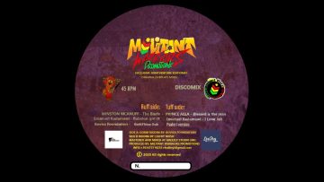 Emanuel Kadamawi – Babylon Got it – ( Ft Winston McAnuff) M.W.P.2020