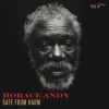 Horace Andy – Safe From Harm