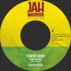 JAH WARRIOR STAR OF DAVID DUBPLATE MIX