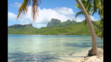 Laid Back – Sunshine Reggae