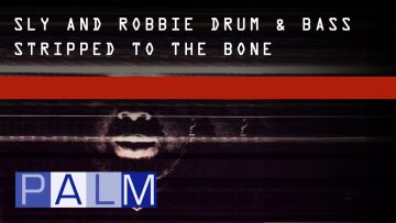 Sly and Robbie: Superthruster