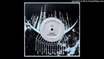 Systemwide – Low Orbit (Alter Echo Mix)