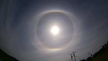 Alpha and Omega – Under contention ᴴᴰ