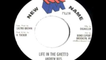 Andrew Bees – Life in the ghetto 7
