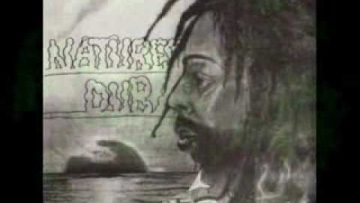 Bullwackie Allstars – Natures Dub –