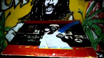 ERROL WALKER – IN THESE TIMES.